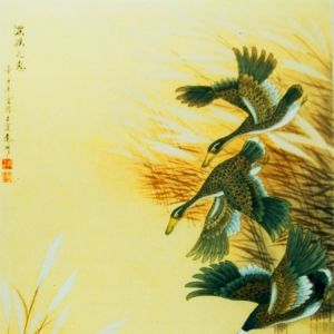 &#24320;&#20113;&#25163;&#26426;&#31449;&#20837;&#21475;&#45;&#24320;&#20113;&#40;&#20013;&#22269;&#41;